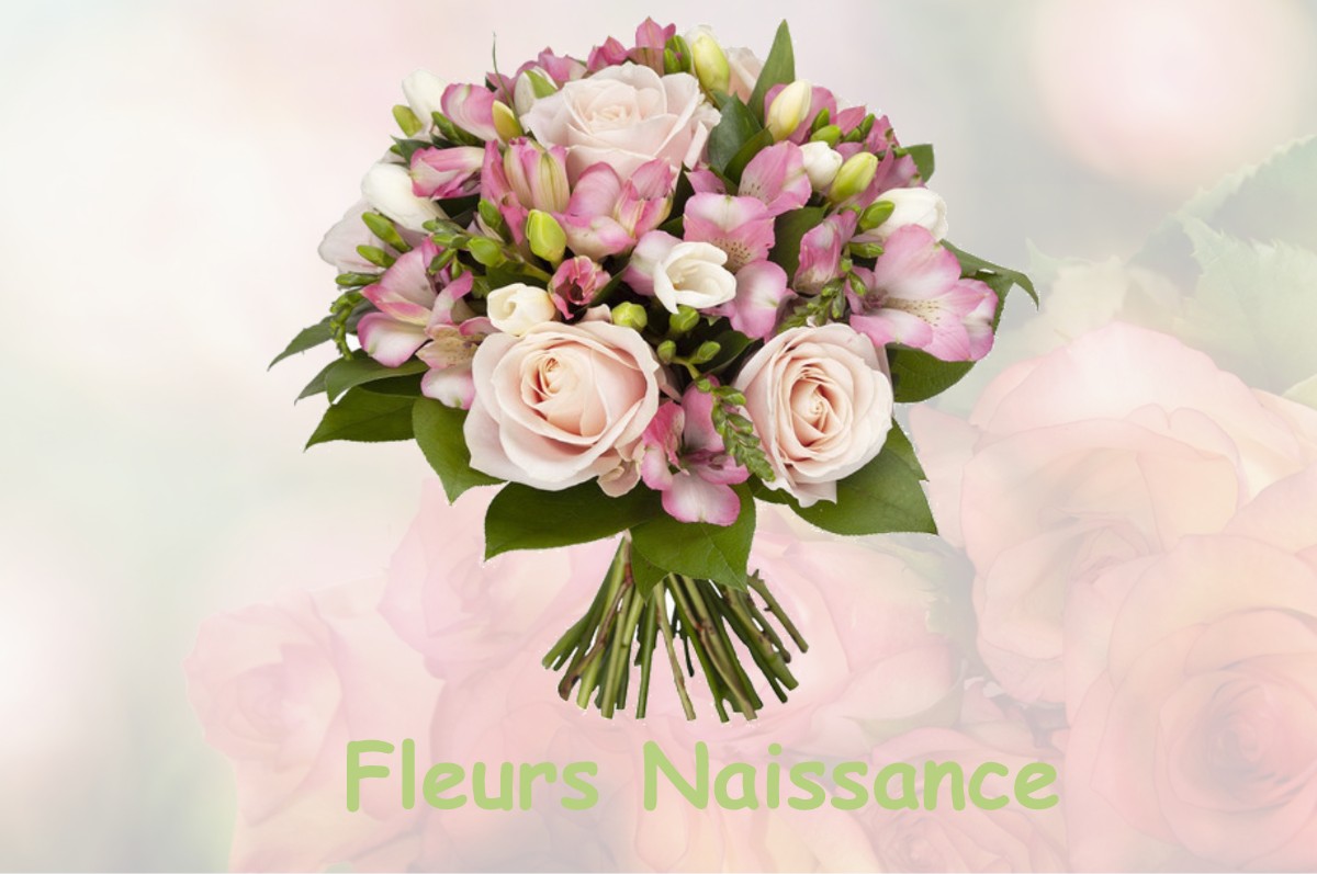 fleurs naissance HAUTERIVE-LA-FRESSE